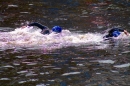Wassersport-Hamburg-2017-07-15-Bodensee-Community-SEECHAT_DE-_37_.jpg