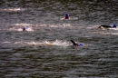 Wassersport-Hamburg-2017-07-15-Bodensee-Community-SEECHAT_DE-_49_.jpg