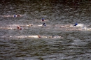 Wassersport-Hamburg-2017-07-15-Bodensee-Community-SEECHAT_DE-_50_.jpg