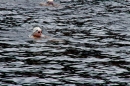 Wassersport-Hamburg-2017-07-15-Bodensee-Community-SEECHAT_DE-_9_.jpg