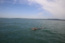 BODENSEEBOOT-Bodenseequerung-Michael-Loechle-2017-Bodensee-Community-SEECHAT_DE-IMG_6598.JPG
