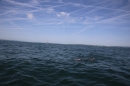 BODENSEEBOOT-Bodenseequerung-Michael-Loechle-2017-Bodensee-Community-SEECHAT_DE-IMG_6600.JPG