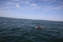 BODENSEEBOOT-Bodenseequerung-Michael-Loechle-2017-Bodensee-Community-SEECHAT_DE-IMG_6601.JPG