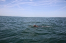 BODENSEEBOOT-Bodenseequerung-Michael-Loechle-2017-Bodensee-Community-SEECHAT_DE-IMG_6613.JPG