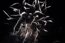 Feuerwerk-Rheinfall-Neuhausen-2017-08-01-SEECHAT_CH-_102_.jpg