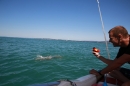 BODENSEEBOOT-Querung-Sven-Eckhardt-2017-08-07-Bodensee-Community-SEECHAT_DE-IMG_7002.JPG