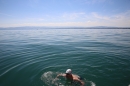 BODENSEEBOOT-Daniel-Los-Romanshorn-2017-08-13-SEECHAT_DE-IMG_8102.JPG