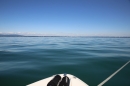 BODENSEEBOOT-Daniel-Los-Romanshorn-2017-08-13-SEECHAT_DE-IMG_8103.JPG