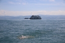 BODENSEEBOOT-Daniel-Los-Romanshorn-2017-08-13-SEECHAT_DE-IMG_8146.JPG