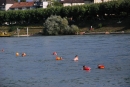 Rheinschwimmen-Basel-2017-08-15-Bodensee-community-seechat_DE-2017-08-15_05_05_36.jpg