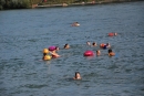 Rheinschwimmen-Basel-2017-08-15-Bodensee-community-seechat_DE-2017-08-15_05_14_52.jpg