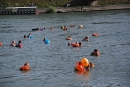 Rheinschwimmen-Basel-2017-08-15-Bodensee-community-seechat_DE-2017-08-15_05_20_33.jpg