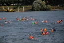 Rheinschwimmen-Basel-2017-08-15-Bodensee-community-seechat_DE-2017-08-15_05_21_00.jpg