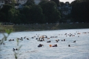 Rheinschwimmen-Basel-2017-08-15-Bodensee-community-seechat_DE-2017-08-15_05_28_33.jpg