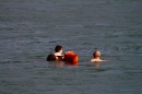 Rheinschwimmen-Basel-2017-08-15-Bodensee-community-seechat_DE-_21_.jpg