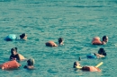 Rheinschwimmen-Basel-2017-08-15-Bodensee-community-seechat_DE-_52_.jpg