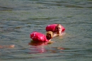 Rheinschwimmen-Basel-2017-08-15-Bodensee-community-seechat_DE-_9_.jpg