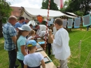 AULENDORF-Schlosfest-170820DSCF6176.JPG