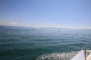 Bodenseequerung-Thais-Sant-Ana-20170823-BODENSEEBOOT-SEECHAT_DE-IMG_8447.JPG