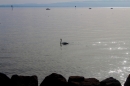 SlowUP-Romanshorn-2017-08-27-Bodensee-community-seechat-de-_181_.jpg