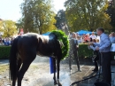 BADEN-BADEN-Pferderennen-2017-09-03-Bodensee-Community-SEECHAT_DE-_420_.JPG