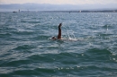 Guy-Bertemes-2017-09-05-Bodensee-Community-BODENSEEBOOT_DE-IMG_8745.JPG