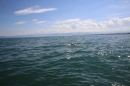 Guy-Bertemes-2017-09-05-Bodensee-Community-BODENSEEBOOT_DE-IMG_8748.JPG