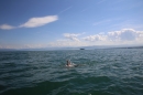 Guy-Bertemes-2017-09-05-Bodensee-Community-BODENSEEBOOT_DE-IMG_8750.JPG