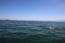 Guy-Bertemes-2017-09-05-Bodensee-Community-BODENSEEBOOT_DE-IMG_8757.JPG