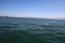 Guy-Bertemes-2017-09-05-Bodensee-Community-BODENSEEBOOT_DE-IMG_8758.JPG