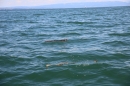 Guy-Bertemes-2017-09-05-Bodensee-Community-BODENSEEBOOT_DE-IMG_8761.JPG
