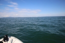 Guy-Bertemes-2017-09-05-Bodensee-Community-BODENSEEBOOT_DE-IMG_8762.JPG