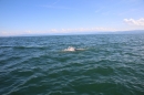 Guy-Bertemes-2017-09-05-Bodensee-Community-BODENSEEBOOT_DE-IMG_8778.JPG
