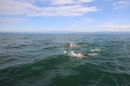 Guy-Bertemes-2017-09-05-Bodensee-Community-BODENSEEBOOT_DE-IMG_8815.JPG