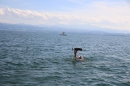 Guy-Bertemes-2017-09-05-Bodensee-Community-BODENSEEBOOT_DE-IMG_8818.JPG