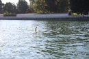 Guy-Bertemes-2017-09-05-Bodensee-Community-BODENSEEBOOT_DE-IMG_8830.JPG