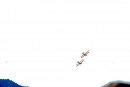 Breitling-Flugshow-Sion-Air-Sitten-Schweiz-SEECHAT_CH-_13_.jpg