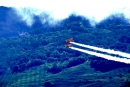Breitling-Flugshow-Sion-Air-Sitten-Schweiz-SEECHAT_CH-_15_.jpg