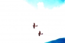 Breitling-Flugshow-Sion-Air-Sitten-Schweiz-SEECHAT_CH-_17_.jpg