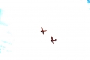 Breitling-Flugshow-Sion-Air-Sitten-Schweiz-SEECHAT_CH-_18_.jpg