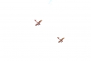 Breitling-Flugshow-Sion-Air-Sitten-Schweiz-SEECHAT_CH-_19_.jpg