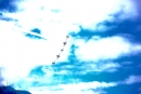 Breitling-Flugshow-Sion-Air-Sitten-Schweiz-SEECHAT_CH-_93_.jpg