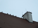 BadBUCHAU-SWR-Aufzeichnung-171108DSCF0675.JPG