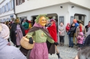 Landschaftstreffen-Bad-Waldsee-28-01-2018-SEECHAT_DE-_72_.jpg