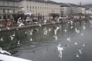 Fasnachtsumzug-08-02-2018-Luzern-Bodensee-Community-SEECHAT_CH-_12_.jpg