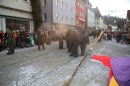 Fasnachtsumzug-Tuttlingen-10-02-2018-Bodensee-Community-SEECHAT_DE-IMG_2182.JPG