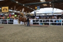PFERD-BODENSEE-Friedrichshafen-2018-02-17-Bodensee-Community-SEECHAT_DE-169.jpg