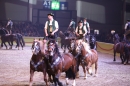 Im-Takt-der-Pferde-GALA-Friedrichshafen-2018217-Bodensee-Community-SEECHAT_DE-200.jpg
