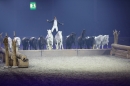Im-Takt-der-Pferde-GALA-Friedrichshafen-2018217-Bodensee-Community-SEECHAT_DE-726.jpg