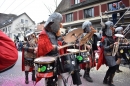 Fasnacht-Neuhausen-2018-02-18-Bodensee-Community-SEECHAT_DE-2018-02-18_14_27_21.jpg